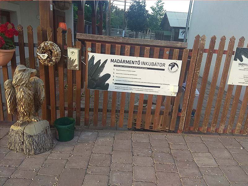 sukorói vadmadárkórház inkubátor