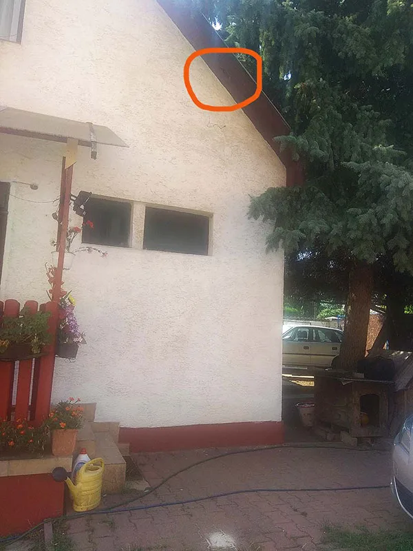 A veréb fészek helye ahonnan kiesett a verébfióka