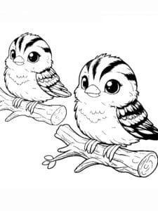 veréb színező_0002 ágon ülő verebek