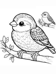 veréb színező_0003