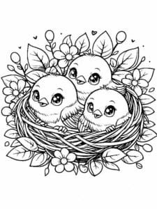 veréb színező_0011