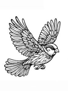 veréb színező_0015