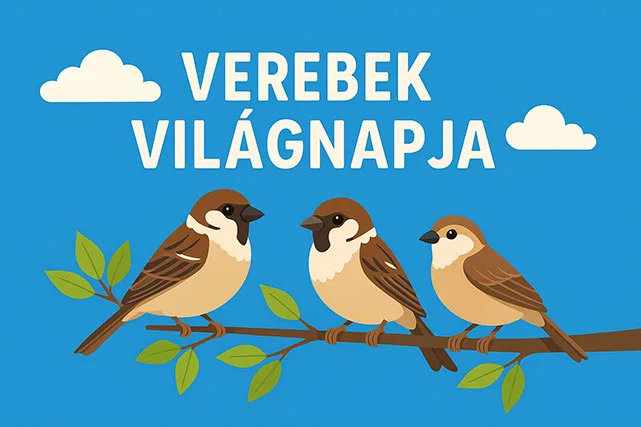 verebek világnapja