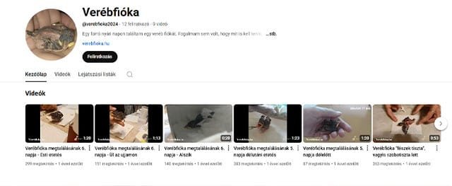 Verebfióka YouTube csatorna