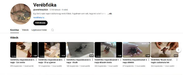 Verebfióka YouTube csatorna